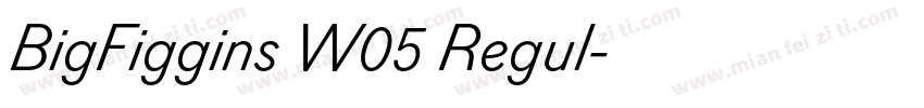 BigFiggins W05 Regul字体转换